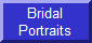 Formal Bridal Portraits, Engagement & Wedding Announcement Portraits
