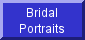 Formal Bridal Portraits, Engagement & Wedding Announcement Portraits