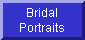 Formal Bridal Portraits, Engagement & Wedding Announcement Portraits